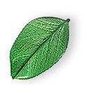 floating_leaf_01 https://admiring-wright.85-215-159-241.plesk.page/wp-content/uploads/2025/07/floating_leaf_01.png